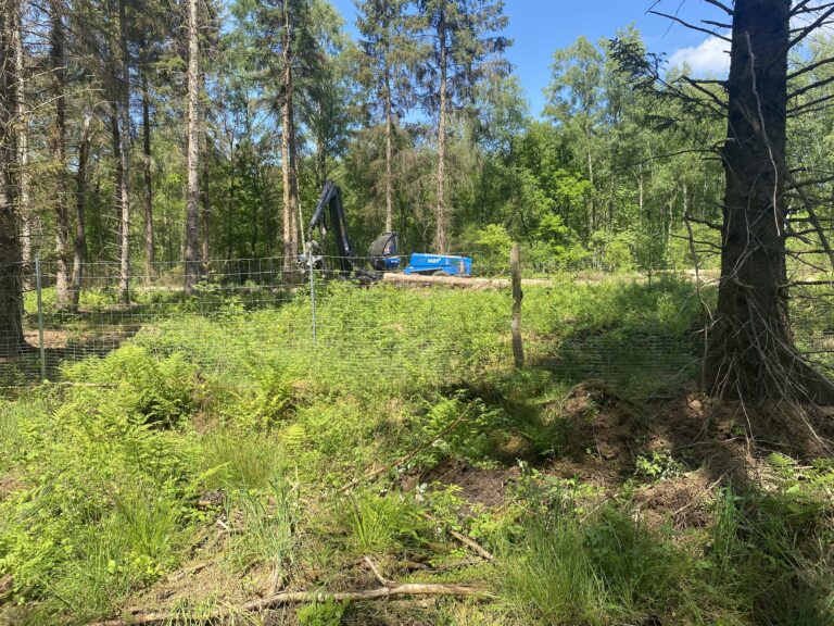 2020_05_28_13_37_IMG_0057