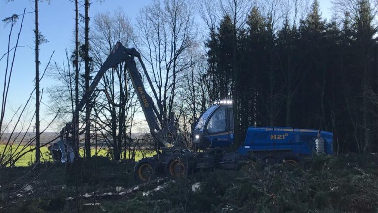 2021_01_12_13_31_IMG_1180