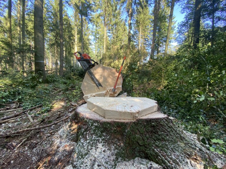 2023_09_16_14_49_IMG_6360