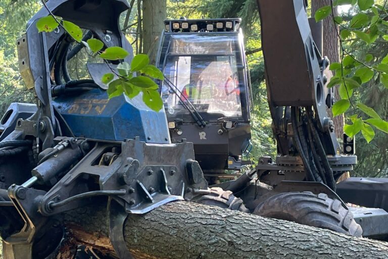 2023_09_16_18_23_IMG_6363