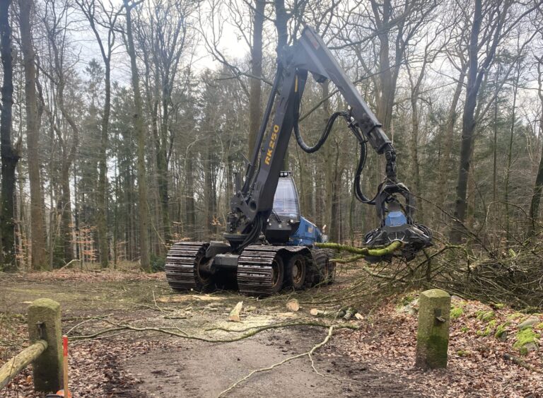 2025_02_22_11_02_IMG_0193