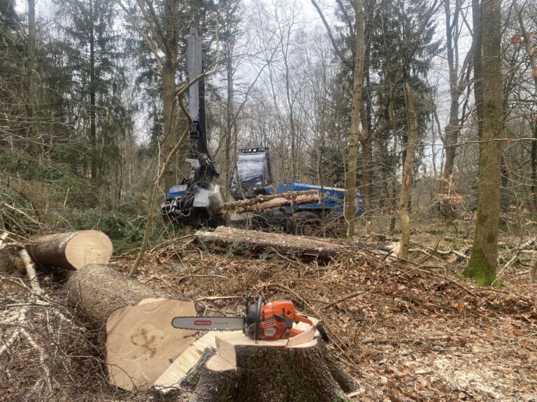 2025_02_22_11_58_IMG_0197